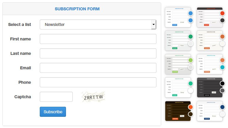 Subscription form's UI and color scheme options