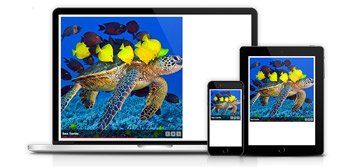 Unlimited and responsive galleries