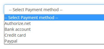 Accept payments online