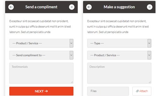 Feedback Form Script