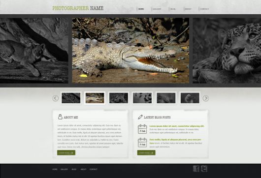 Photography Website Template 154