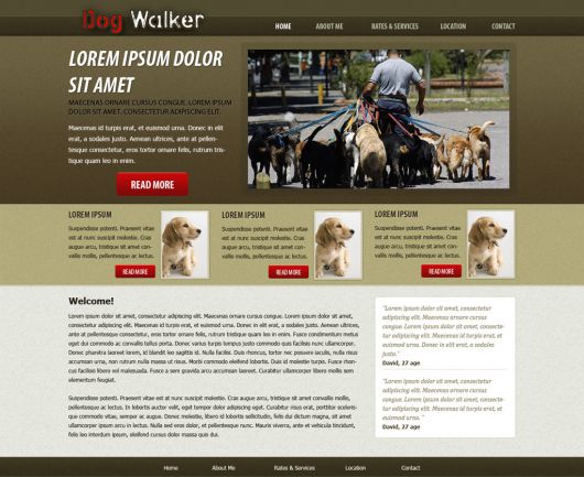 Dog Walking Website Template 49