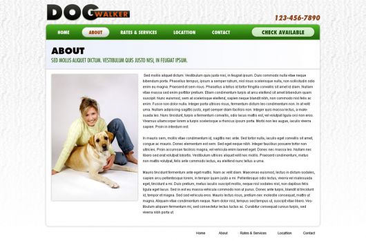 Dog Walking Website Template 56