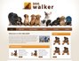 Dog Walker Template