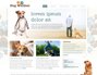 Dog Walking Website Template